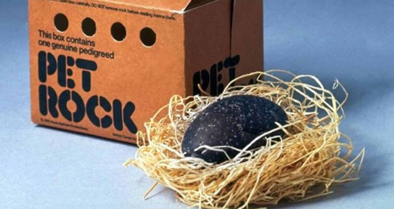 her sey bir barda sakayla basladi bakim gerektirmeyen evcil hayvan fikri onu milyoner yapti YmJViFP8