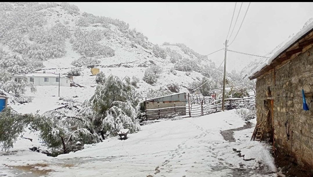 hasadi yapilmayan ceviz kar altinda kaldi axLuFH1g.jpg