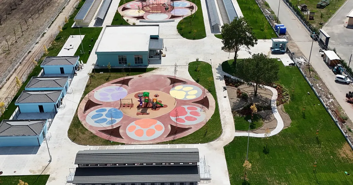 sakaryada sokak hayvanlarina guvenli yuva JfT5a5hS