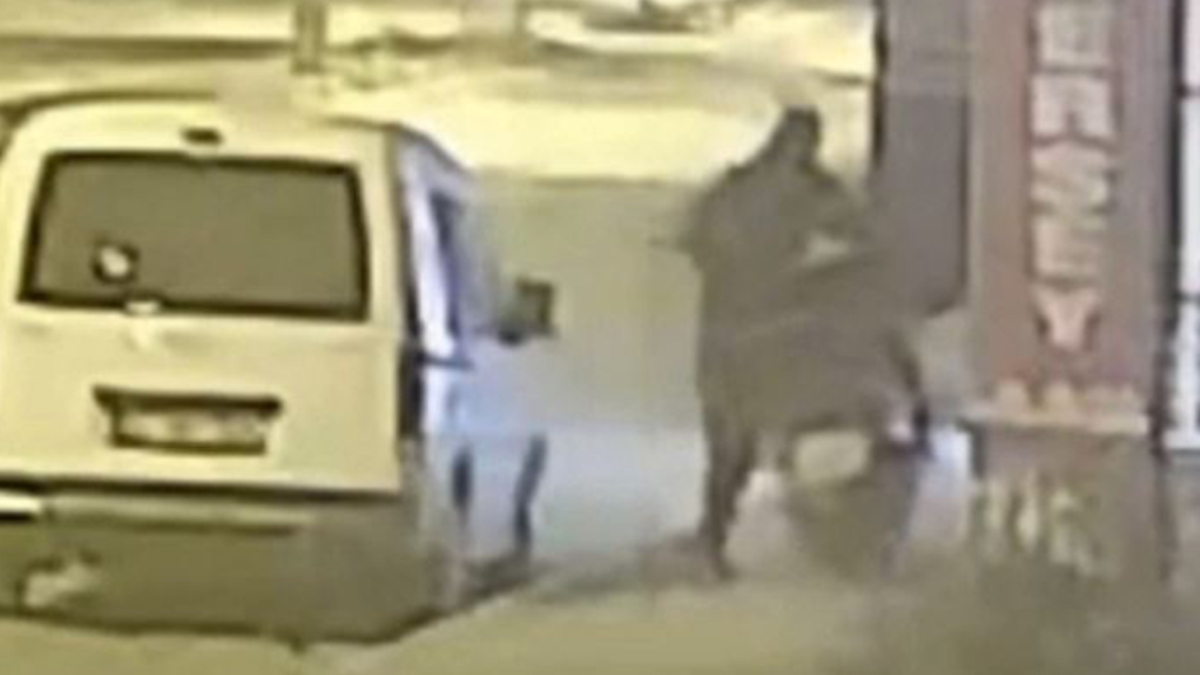 hatayda apartmanin girisindeki motosiklet calindi fPCSZ4pb.jpg