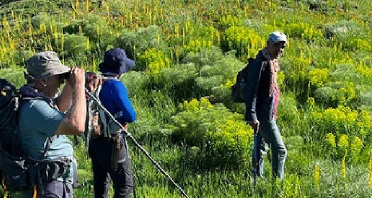 Sabah 03.30’da yola çıkıyorlar: Dağların hazinesinin kilosu 3 bin lira